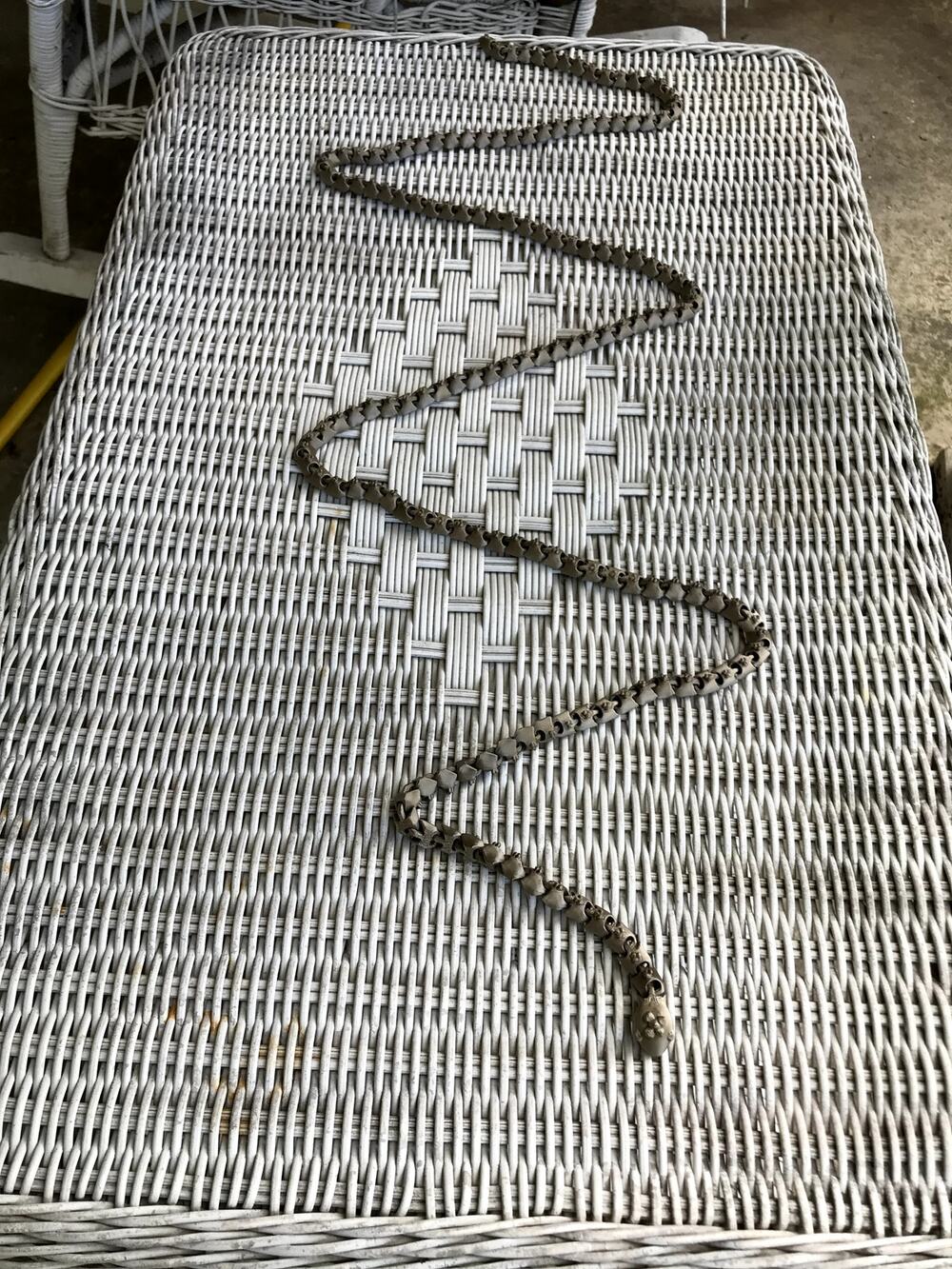 Long Articulated 3D Printed Snake